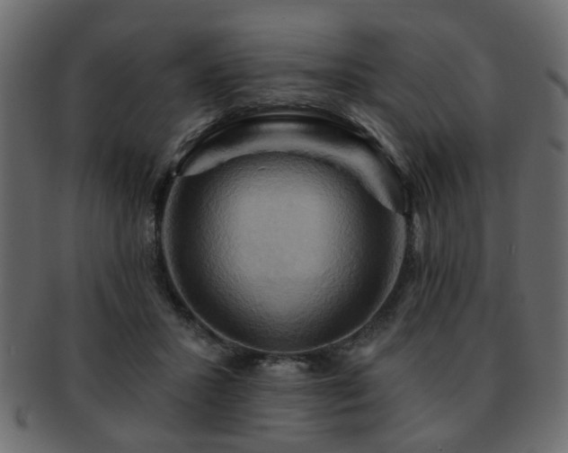 X0000093220407200709261636