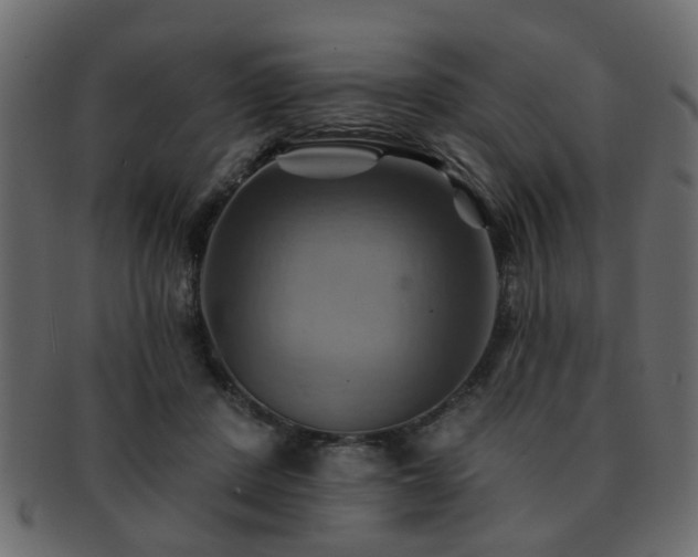 X0000093220408200709261636