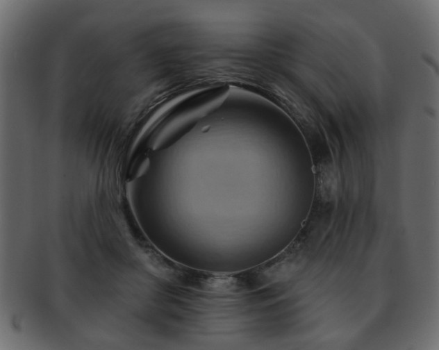 X0000093220410200709261636