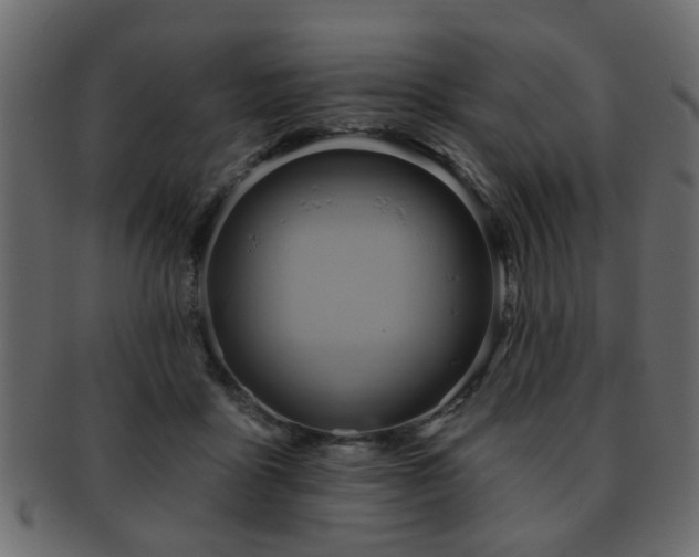 X0000093220411200709261636