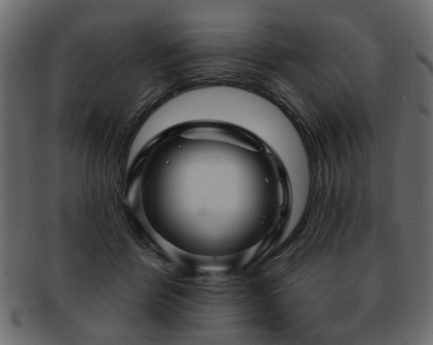 X0000093220412200709261636