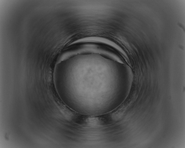 X0000093220413200709261636