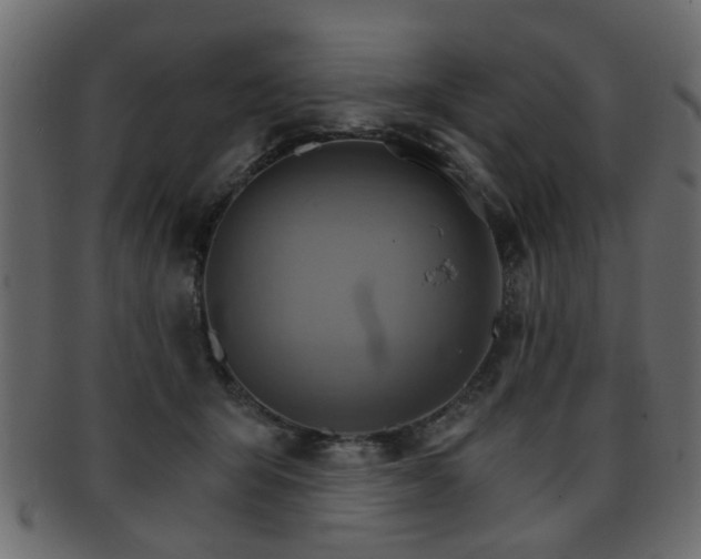 X0000093220415200709261636