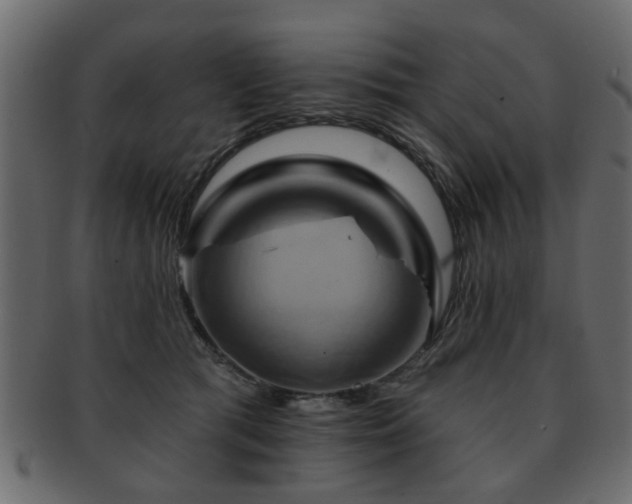 X0000093220417200709261635