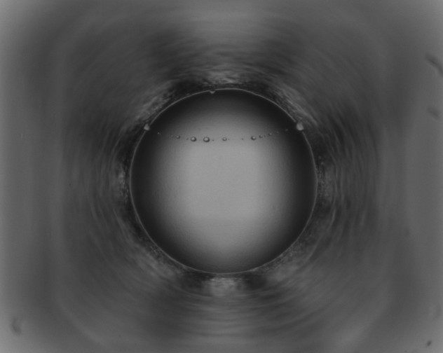 X0000093220418200709261635