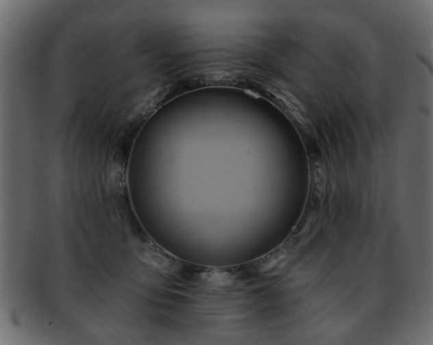 X0000093220419200709261635