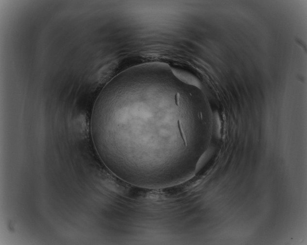 X0000093220420200709261635
