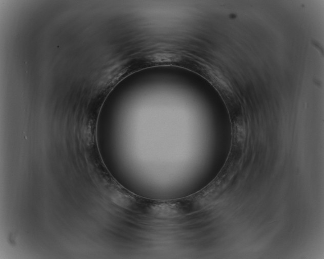 X0000093220422200709261635