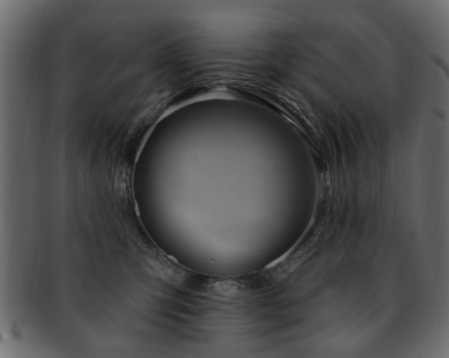 X0000093220423200709261635
