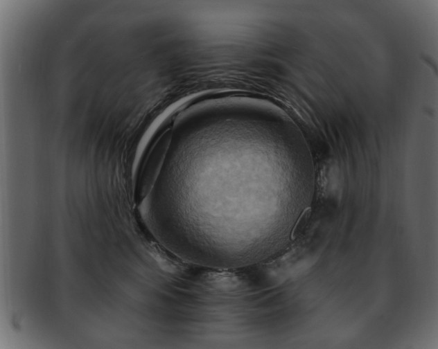 X0000093220424200709261635