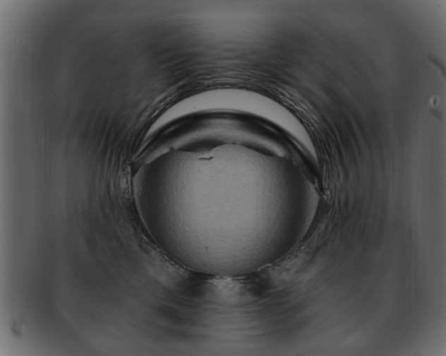 X0000093220425200709261635