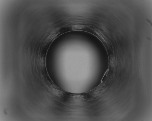 X0000093220426200709261635