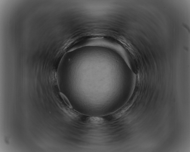 X0000093220429200709261635
