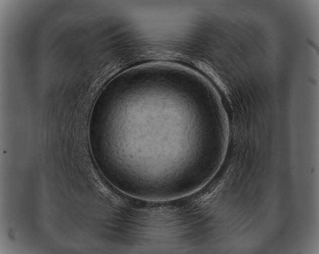 X0000093220433200709261635