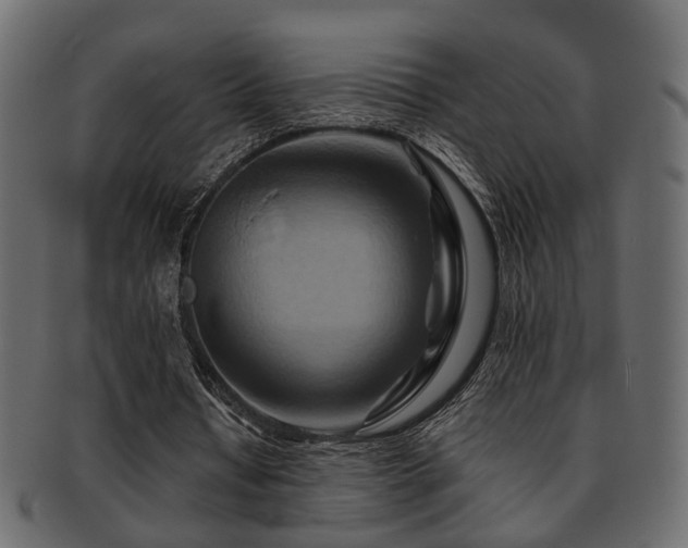X0000093220434200709261635