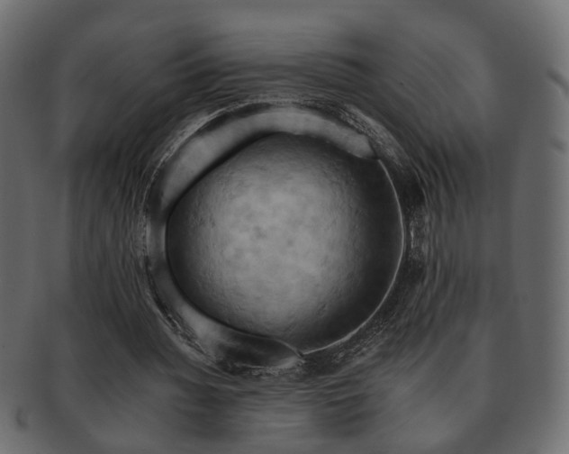 X0000093220436200709261635