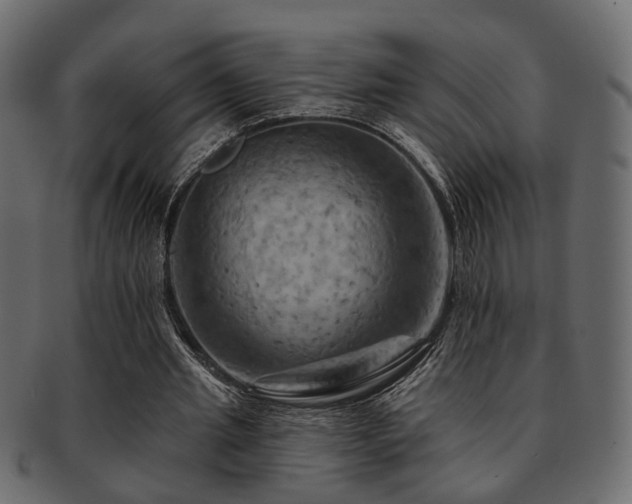 X0000093220437200709261635