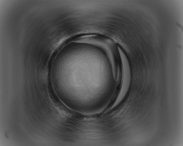 X0000093220440200709261635