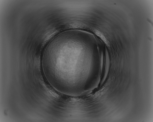 X0000093220442200709261635