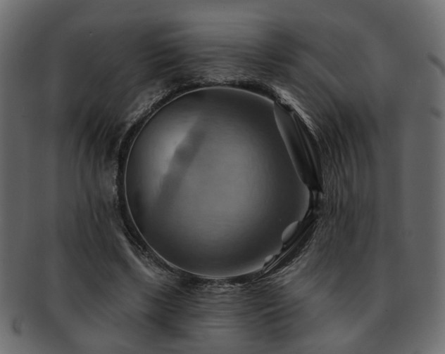 X0000093220443200709261635