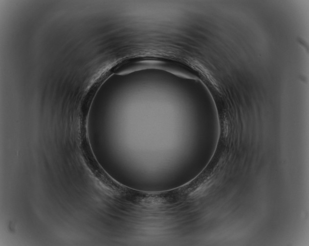 X0000093220444200709261635
