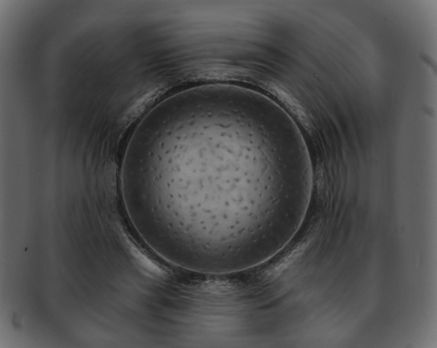 X0000093220445200709261635