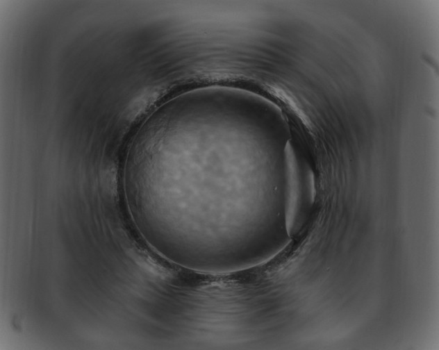 X0000093220447200709261635