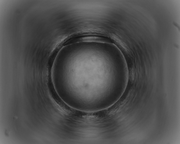 X0000093220448200709261635