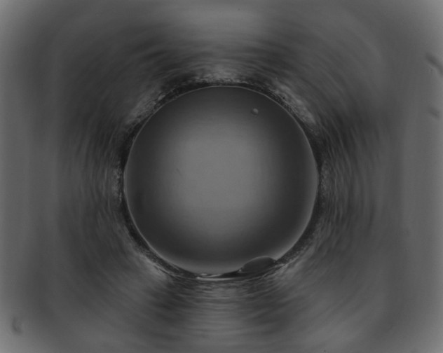 X0000093220449200709261635