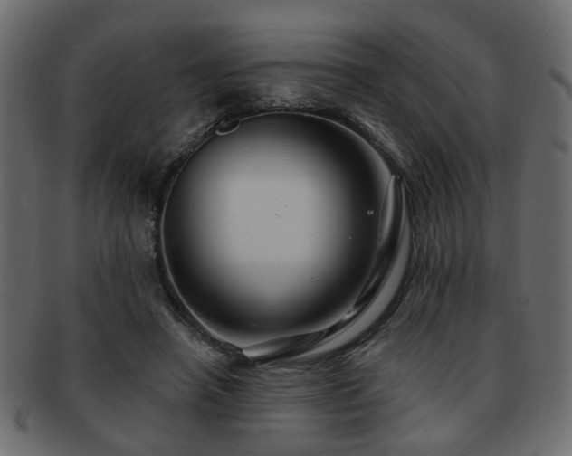 X0000093220450200709261635