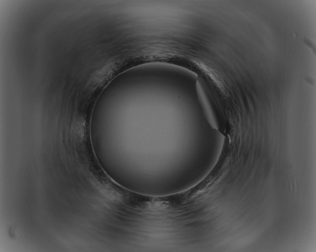 X0000093220451200709261635