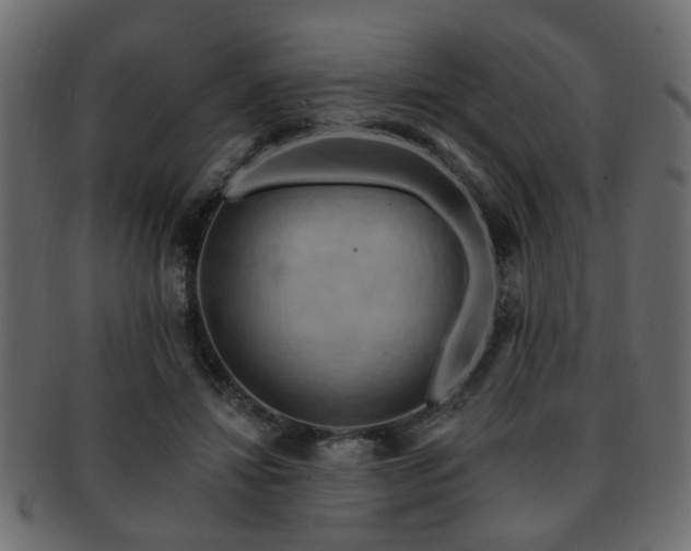 X0000093220452200709261635