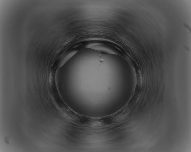 X0000093220456200709261635