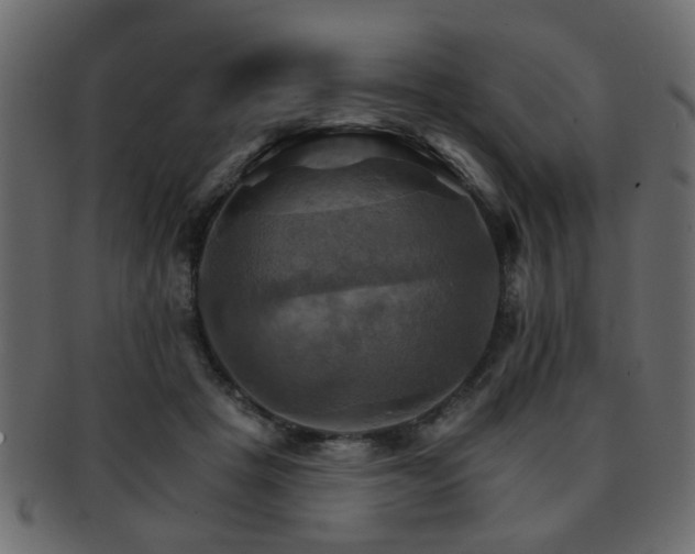 X0000093220457200709261635