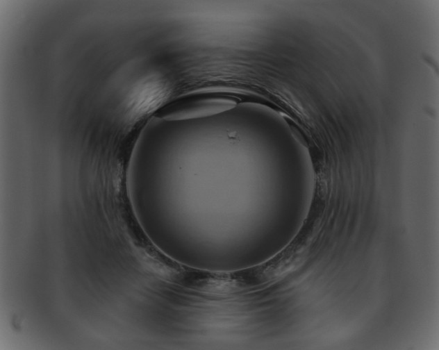 X0000093220458200709261635