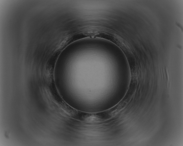 X0000093220460200709261635