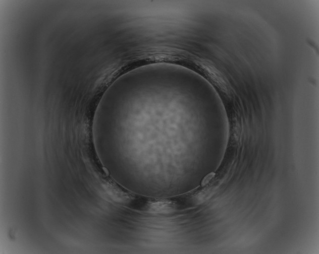 X0000093220461200709261635