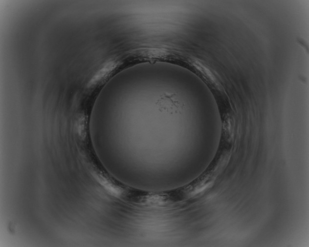 X0000093220462200709261635