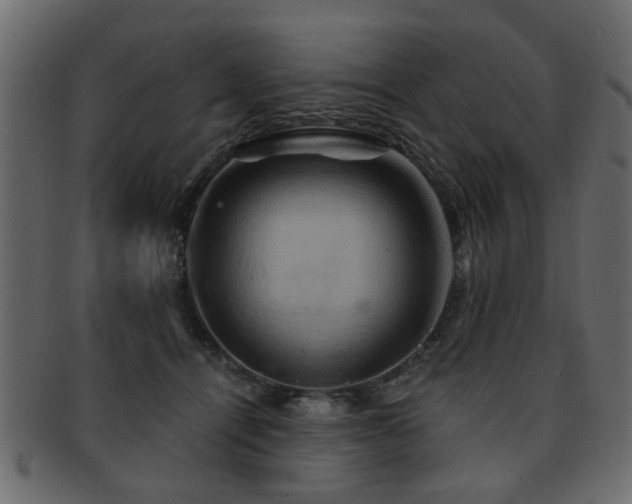 X0000093220464200709261635