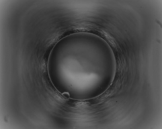 X0000093220465200709261635