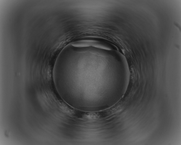 X0000093220466200709261635