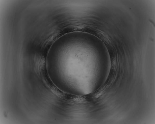 X0000093220468200709261635