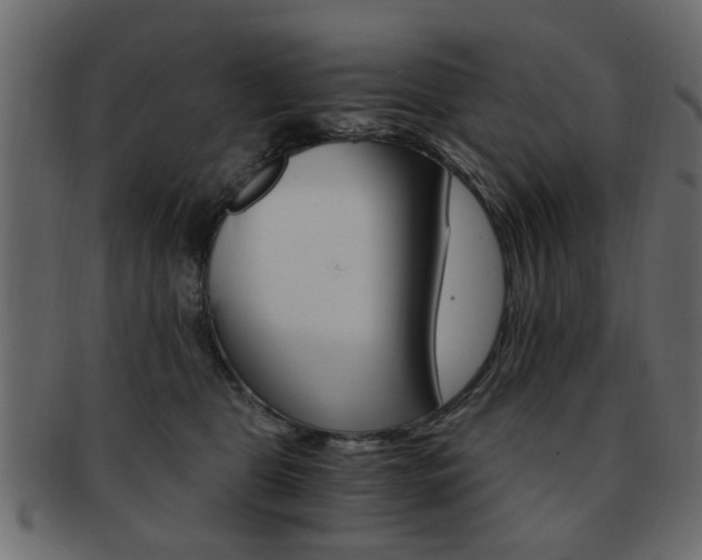 X0000093220469200709261635