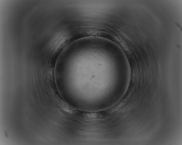 X0000093220473200709261635
