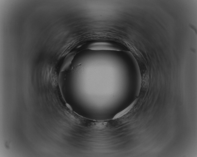 X0000093220474200709261635