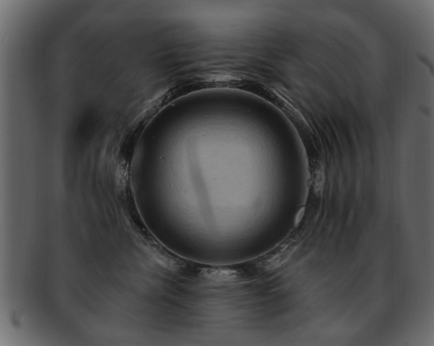 X0000093220476200709261635