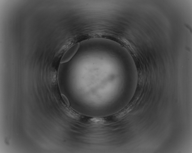 X0000093220477200709261635