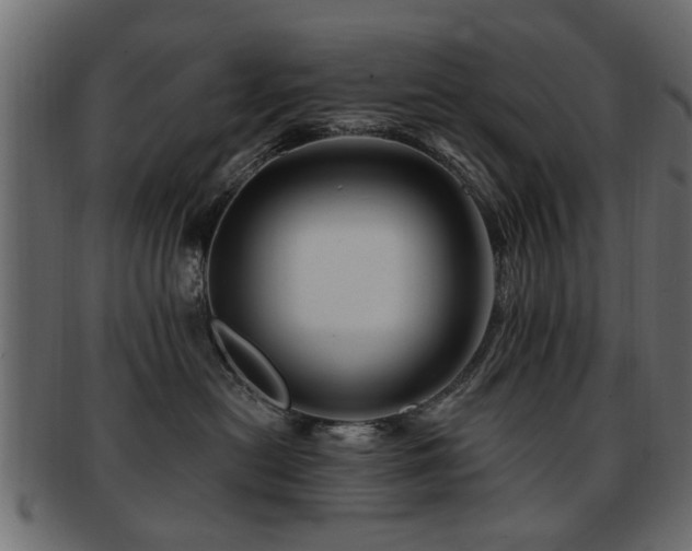 X0000093220478200709261635