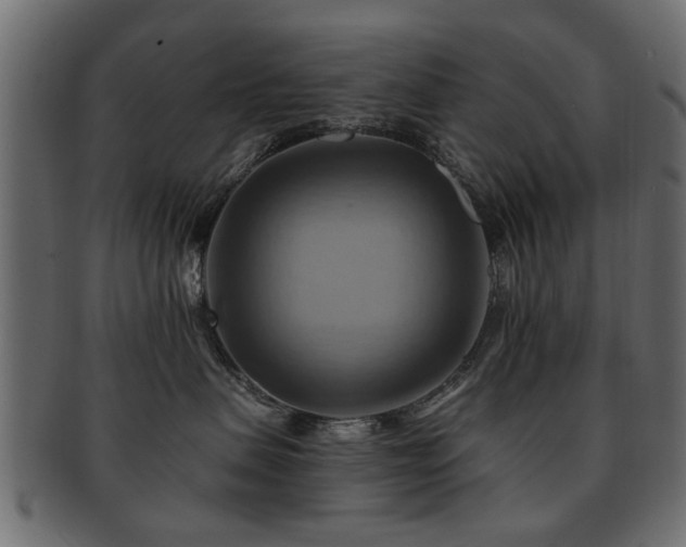X0000093220479200709261635