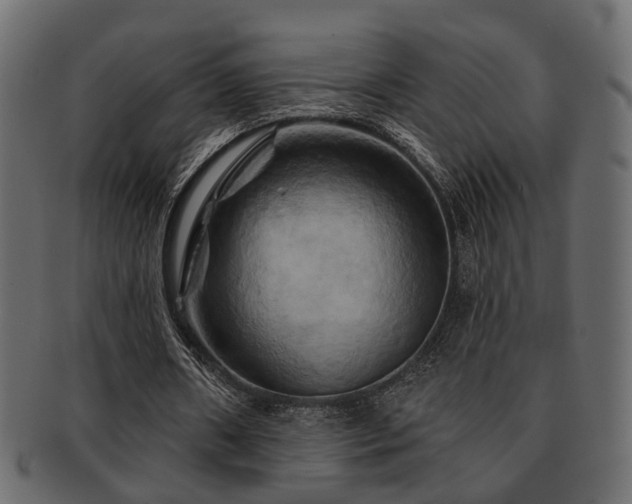 X0000093220482200709261635